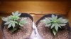 20160530_130051.jpg