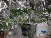 20160601_104950.jpg