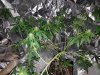 20160601_105012.jpg