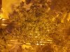 20160601_130138.jpg