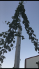 6_1_16c.PNG 6_1_16c.PNG