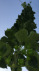 6_1_16.PNG 6_1_16.PNG