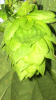 6_1_16d.PNG 6_1_16d.PNG