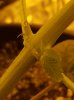 20160601_154828.jpg