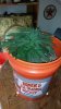 20160531_200314.jpg