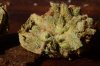 downloadfile-17.jpeg