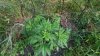 20160602_075708.jpg