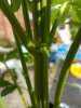 20160604_170729.jpg