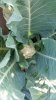 20160604_084603.jpg
