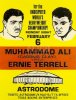 PS-2093_Ali-Terrell-poster_l.jpg