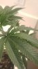 20160604_112118.jpg