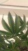 20160604_111948.jpg