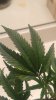 20160604_112029.jpg
