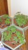 20160604_151702.jpg