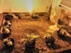 IMG_20160604_203523.jpg