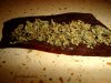 blunt 004.jpg