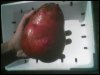 potato.jpg