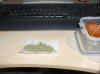 cone4.jpg