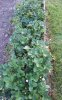 20160606_200609.jpg
