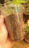 20160606_223239.jpg