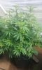 20160607_095138.jpg