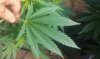 20160607_095148.jpg