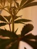 20160607_204225.jpg