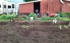 20160607_191643.jpg