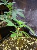20160607_205020.jpg