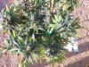 20160607_070043.jpg