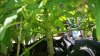IMG_20160606_124915.jpg