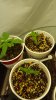 20160608_015655.jpg