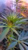 20160608_095707.jpg