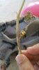 20160608_160121.jpg