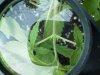 IMG_20160609_085821.jpg