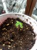 20160611_113900.jpg 20160611_113900.jpg
