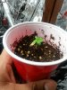 20160611_113822.jpg