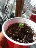 20160611_113808.jpg