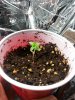 20160611_113721.jpg