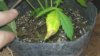 IMG_20160611_184435.jpg
