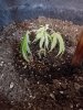 20160612_132754.jpg