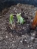 20160612_202804.jpg
