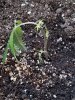 20160612_203624.jpg