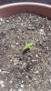 20160613_133522.jpg