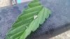 20160614_073940_HDR.jpg
