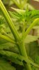 20160614_160048.jpg
