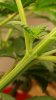 20160614_160013.jpg