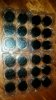 20160614_125407.jpg