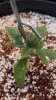 20160615_095436.jpg