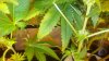 20160615_103537.jpg 20160615_103537.jpg